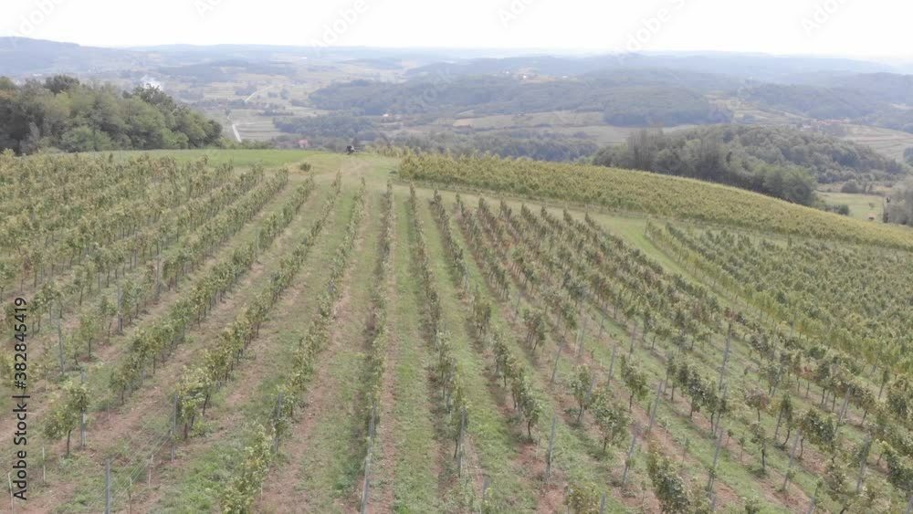 Movies of a landscape in Croatia from vineyard Movies of a landscape in Croatia from vineyard