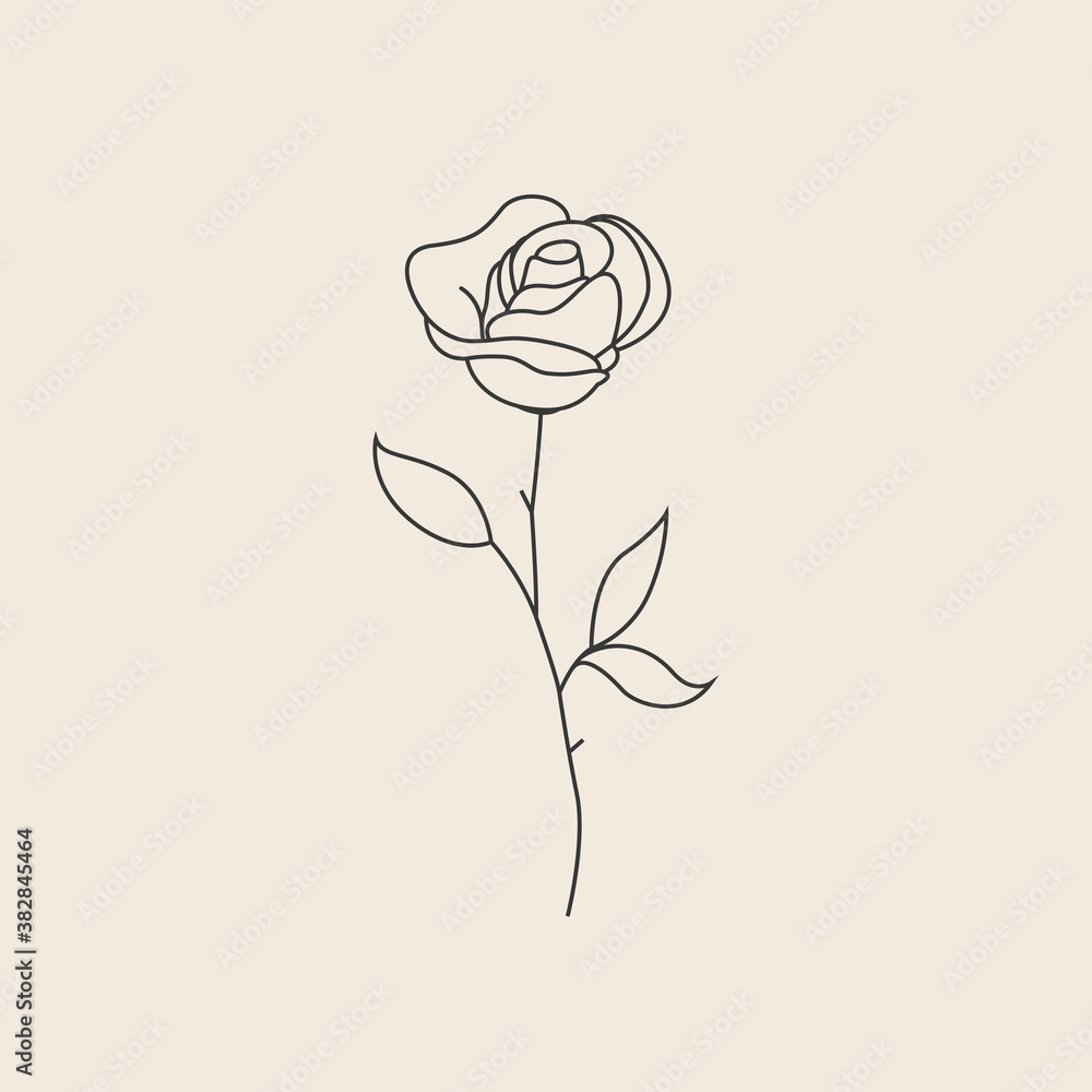Vettoriale Stock Rose flower thin line sketch icon or logo or tattoo design  template. Vector illustration | Adobe Stock