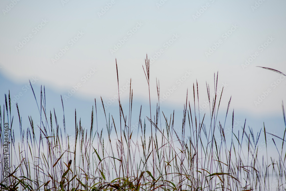 Fototapeta premium Natural world Mountain