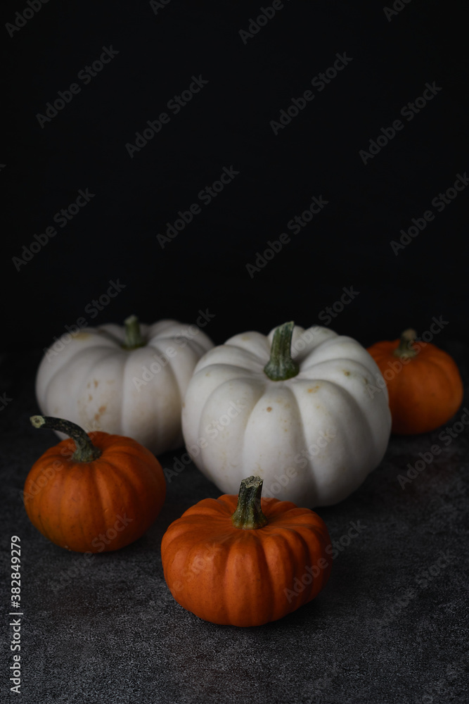 Obraz premium Decorative orange and white pumpkins on a stone slate on a dark gray marble background.