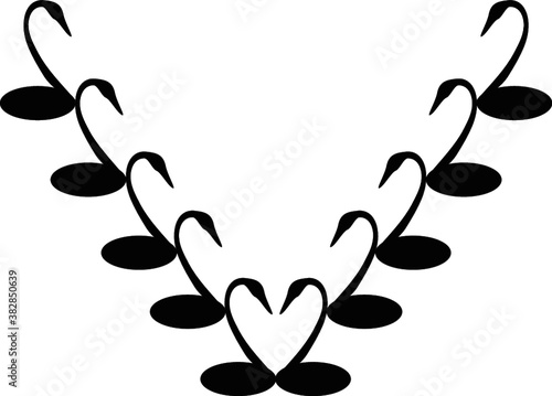 vector black with swans  and hearts