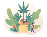 Cannabis medical concept. CBD cultivation business. Distribution of hemp products, retail cannabis business, marijuana sales market. Modern flat cartoon style. Vector illustration on white background