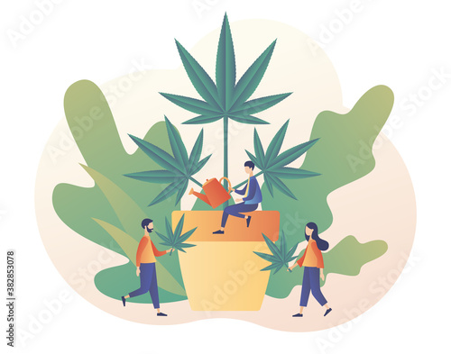 Cannabis medical concept. CBD cultivation business. Distribution of hemp products, retail cannabis business, marijuana sales market. Modern flat cartoon style. Vector illustration on white background
