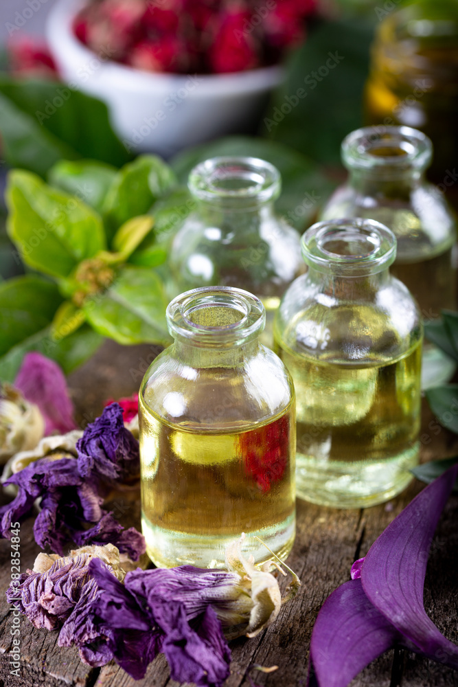 A bottle of common mallow essential oil with dried flowers. Dried herbs with essential oils for aromatherapy treatment. A bottle of common mallow essential oil with dried flowers. Dried herbs with essential oils for aromatherapy treatment.