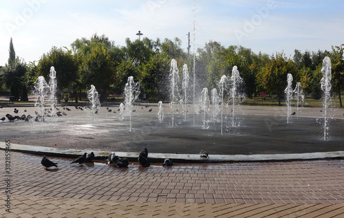 Fountain in the park on a summer day photo