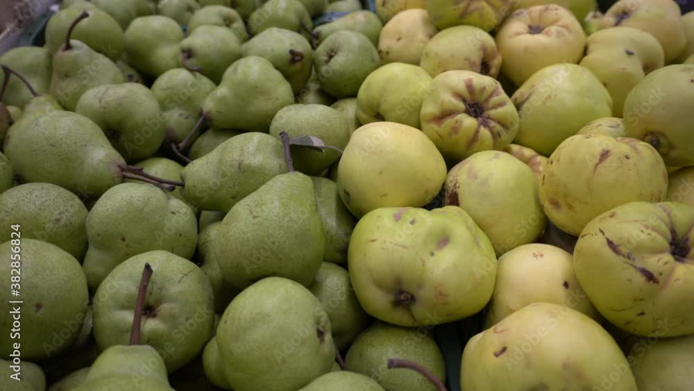 Мой фильм 1fruits on the counter in the store. overview frame close-up. filmed without additional lighting, natural light Мой фильм 1fruits on the counter in the store. overview frame close-up. filmed without additional lighting, natural light