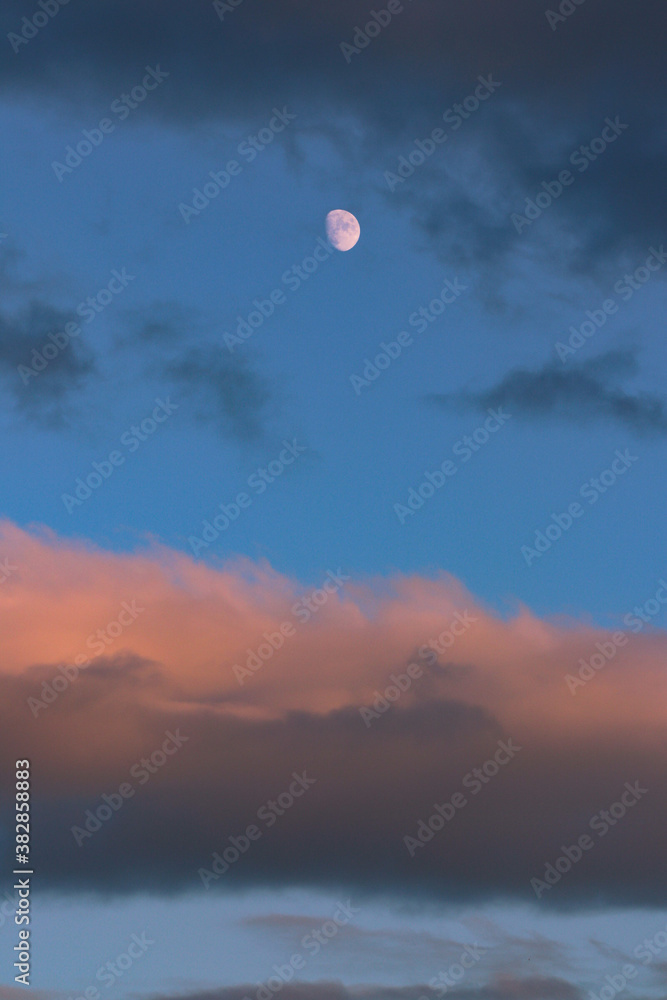 Landscape Landscape