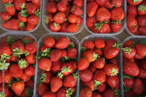 fresh strawberries in a box