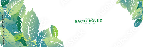 Vector illustration of leaves nature background cover page