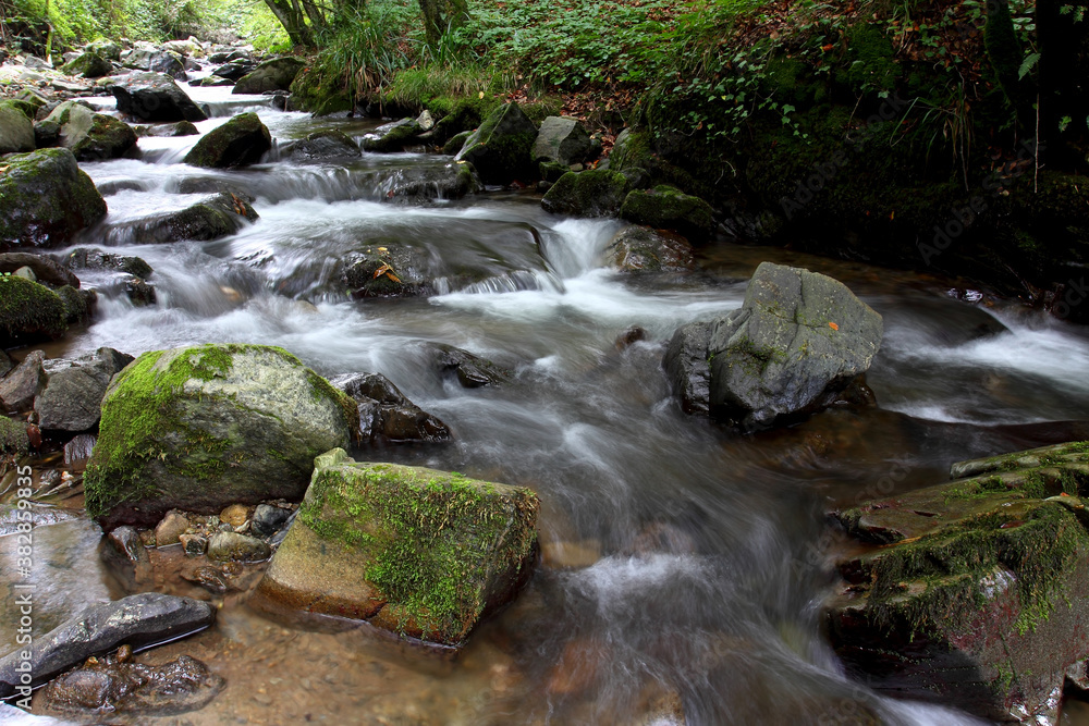 Fototapeta premium Mountain stream in autumn. Stream in the forest.