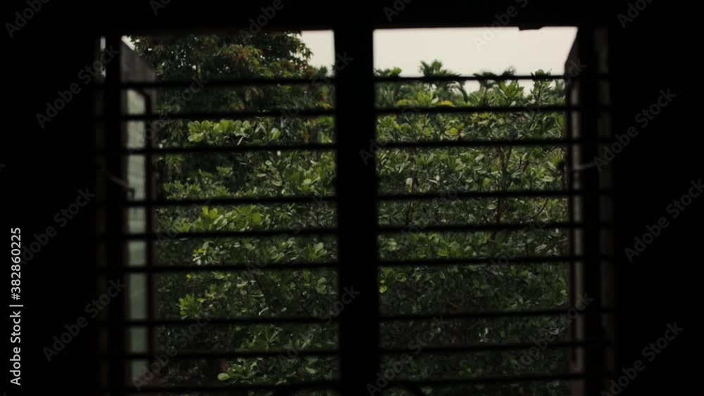 Tree swaying in wind on rainy day. View from window. Static Tree swaying in wind on rainy day. View from window. Static