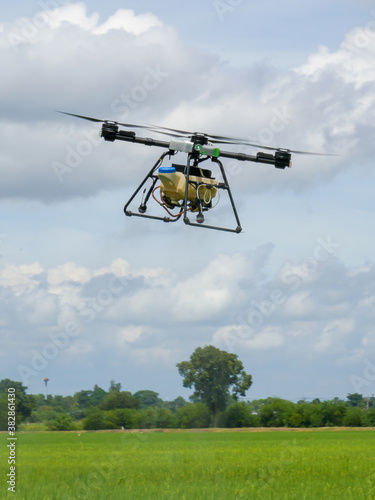 Fototapeta Naklejka Na Ścianę i Meble -  Agriculture drone fly to sprayed fertilizer