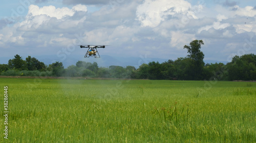 Agriculture drone fly to sprayed fertilizer