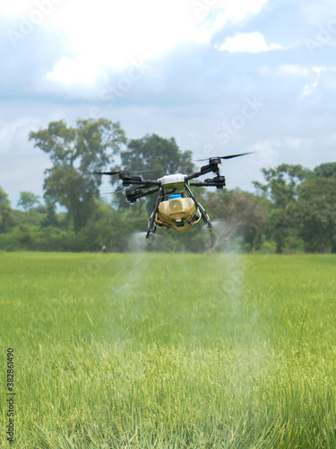 Agriculture drone fly to sprayed fertilizer