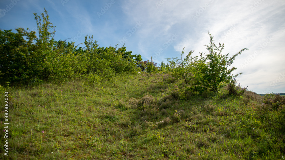 Extent of plants, thyme, wild shrubs ... Extent of plants, thyme, wild shrubs ...