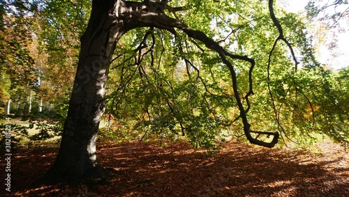 Autumn in Treptower park in capital of Germany