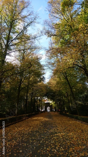 Autumn in Treptower park in capital of Germany