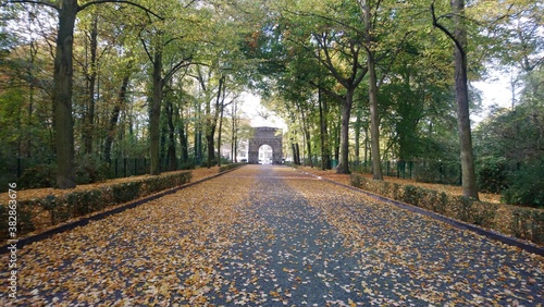Autumn in Treptower park in capital of Germany