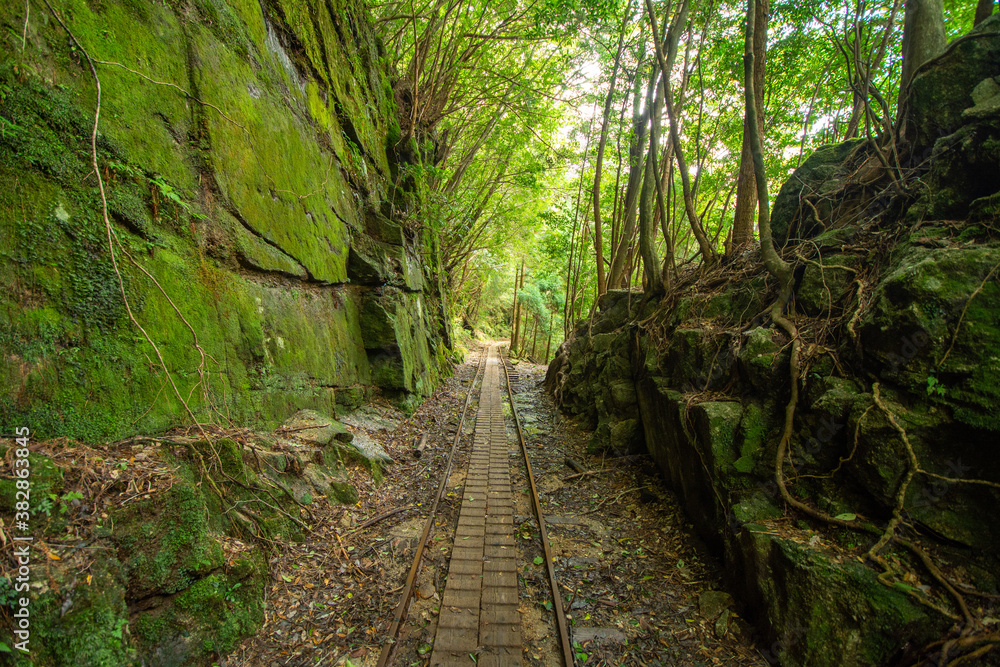 屋久島のトロッコ道