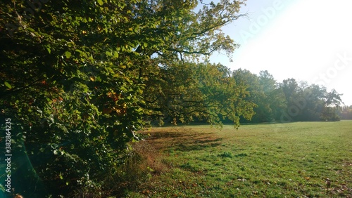 Autumn in Treptower park in capital of Germany