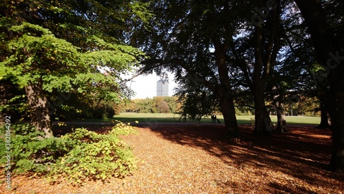 Autumn in Treptower park in capital of Germany
