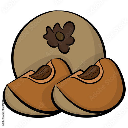 
Healthy fruit, sapodilla icon 
