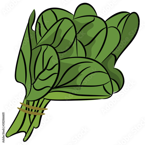 
Leafy green vegetable icon 
