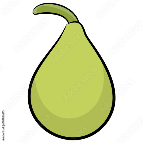 
Hand drawn icon of ash gourd 
