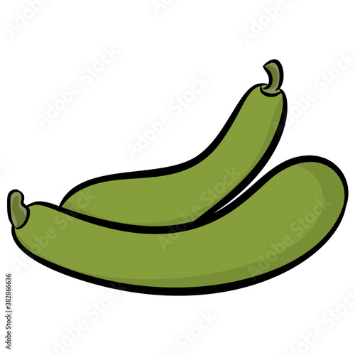 
Hand drawn icon design of a vegetable, bottle gourd

