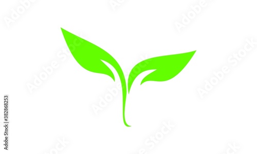 logo leaf vector