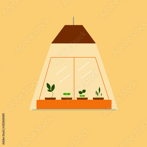 Vector flat greenhouse, terrarium with seedling illuminated by a lamp. Concept home hobbies, entertainment. Illustration isolated on beige