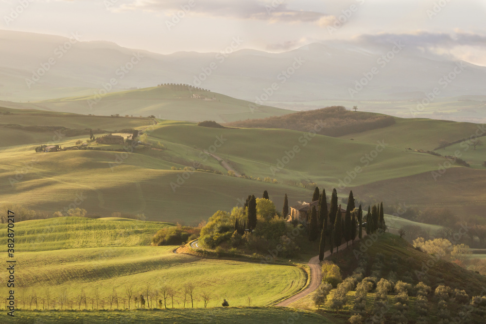 Obraz premium Spring sunrise over the green fields of Val d'Orcia in Tuscany