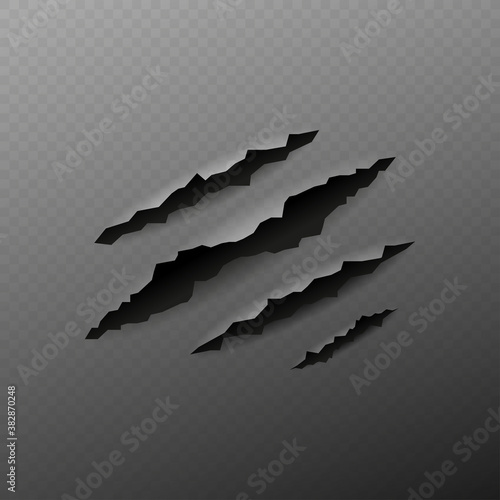 Realistic claw rip slash pattern on transparent background. Vector illustration.