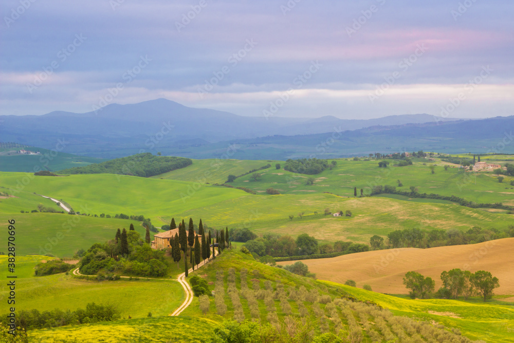 Fototapeta premium Spring sunrise over the green fields of Val d'Orcia in Tuscany