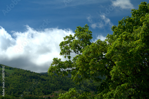 trees and sky nature  green  blue  trees  clouds  forest mountain  countryside outdoors