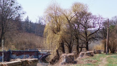 landscape with lake