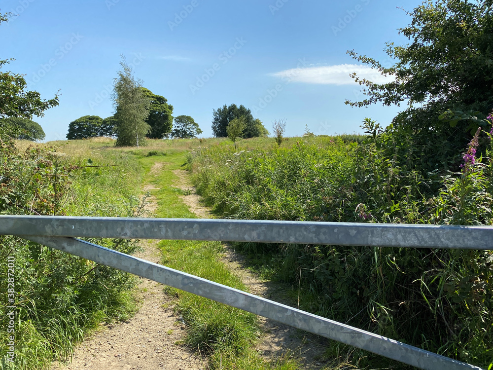 Looking over a metal farm gate, onto a cart track, leading over the field, with trees and a blue sky on, Priesthorpe Road, Calverley, Leeds, UK