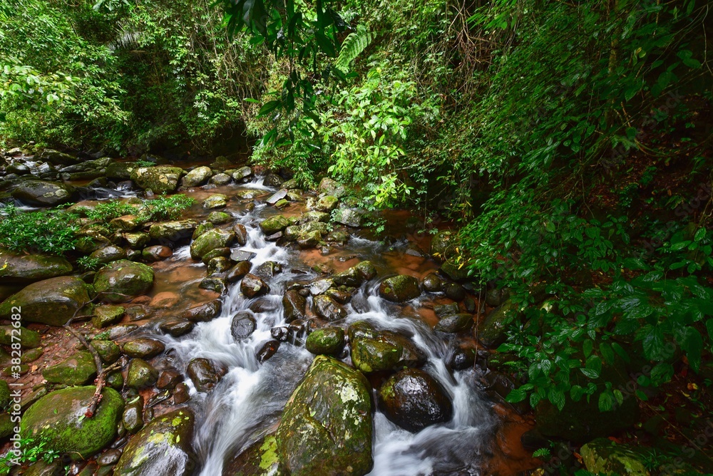 Creek Near Sapan Waterfall in Nan Province, Thailand