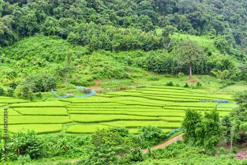 Terraced Rice Fields in Nan Province, Thailand