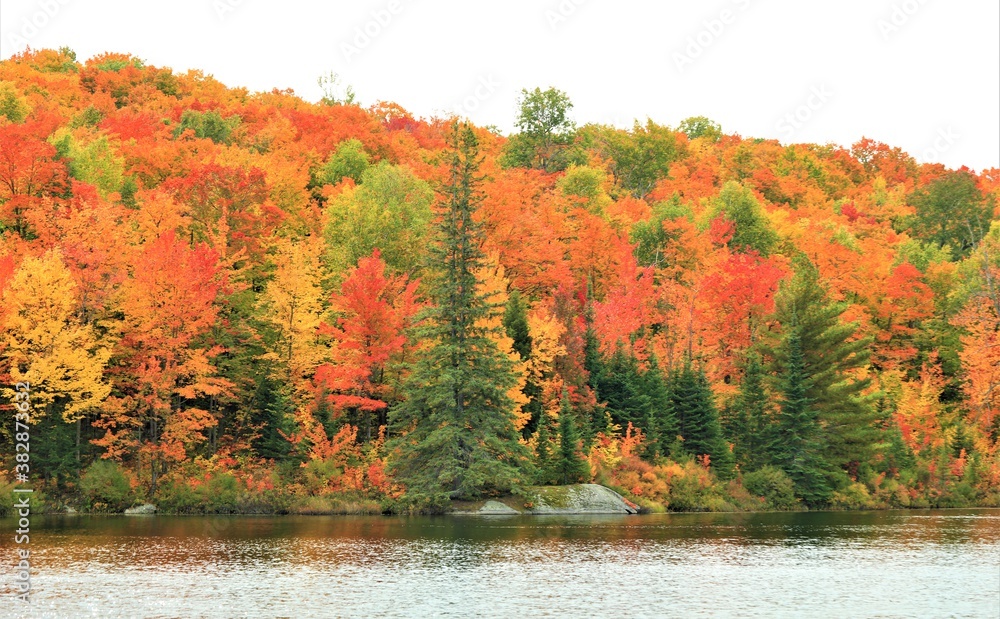Obraz premium autumn in the mountains