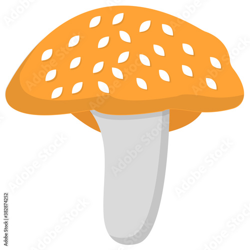 

Mushroom flat icon creative design
