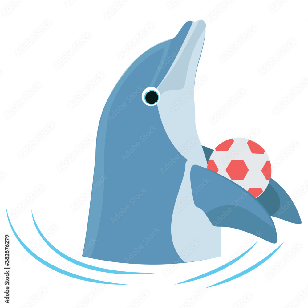 Fototapeta premium A dolphin is playing in sea, ball playing 