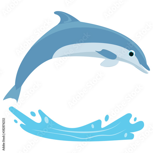  A jumping dolphin in a sea water 