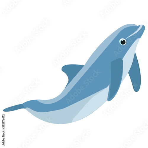 
A jumping dolphin in a sea water 
