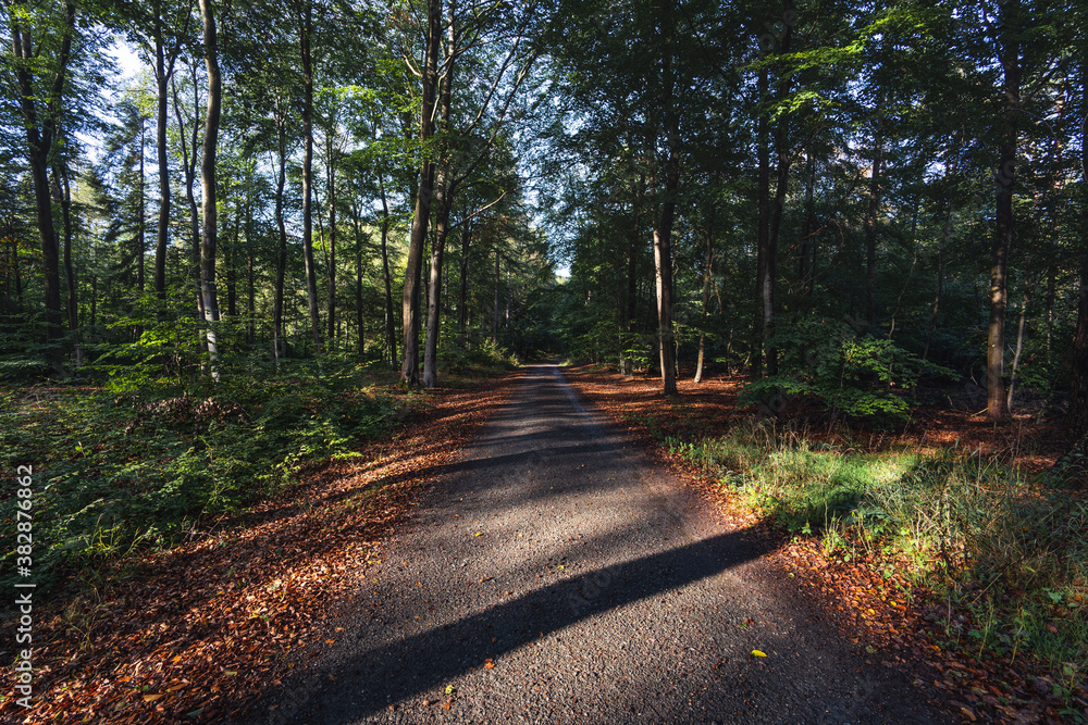 Römerstraße zwischen Otterberg und Heiligenmoschel Römerstraße zwischen Otterberg und Heiligenmoschel