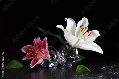 white and pink lily flowers in a glass bowl on a black background