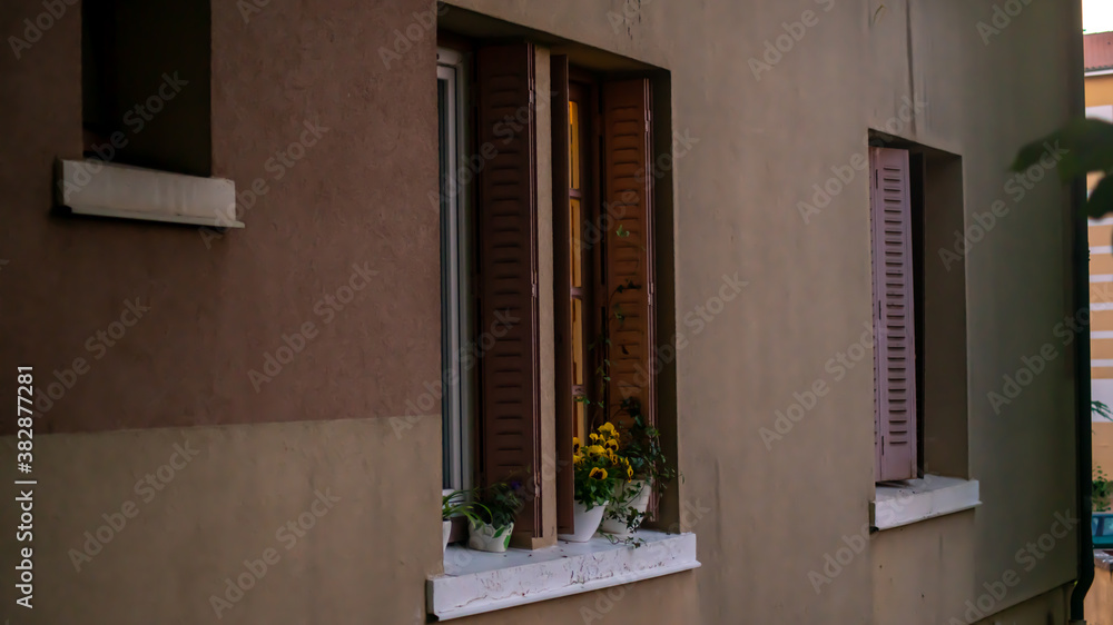 Fototapeta premium Window edge of a house and its flowering plants 