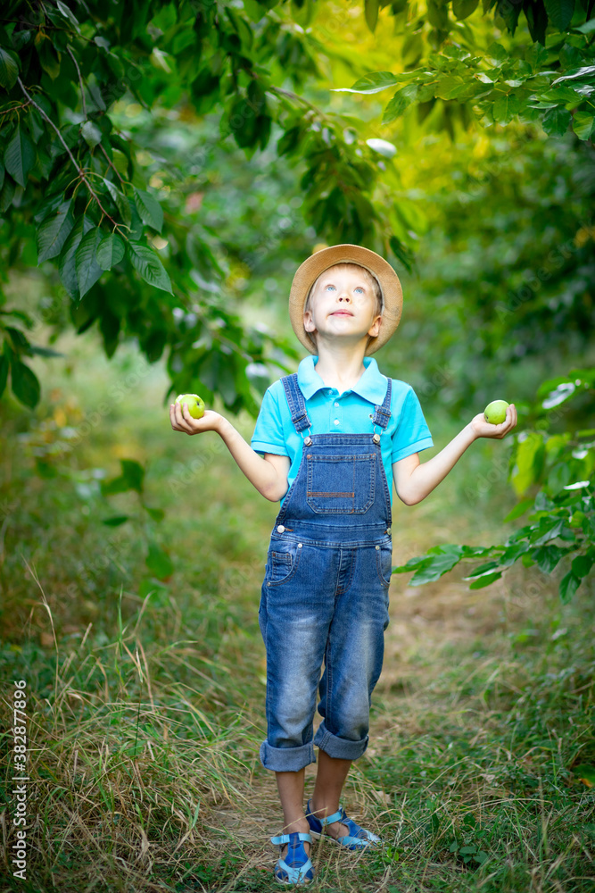 a boy six years old stands in a blue dress and hat in a garden with Apple trees looking up and holding apples in his hands a boy six years old stands in a blue dress and hat in a garden with Apple trees looking up and holding apples in his hands