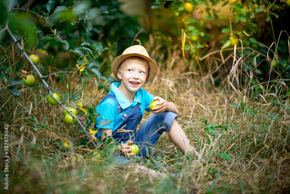 happy boy six years old in blue clothes and hat sitting on the grass in a garden with Apple trees