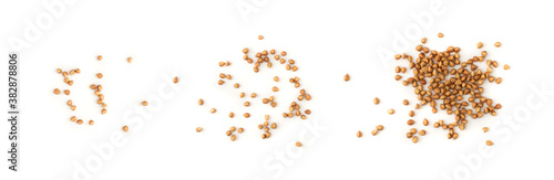 Dry Raw Buckwheat Grains Isolated on White Background